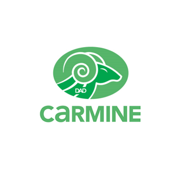Refaire une clé Carmine